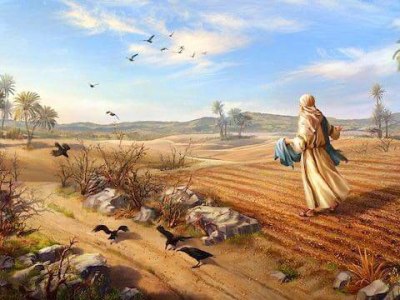 Das Gleichnis vom&nbsp;Sämann