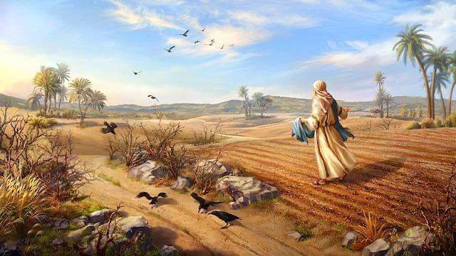 Das Gleichnis vom&nbsp;Sämann